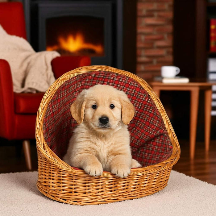 Cuccia lettiera in vimini con cuscino cesta lettino per animali 54x40x44 medium