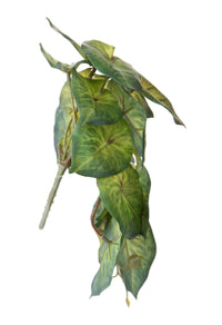 Set 4 Foglie Artificiali Syngonium per 21 Foglie 18 cm