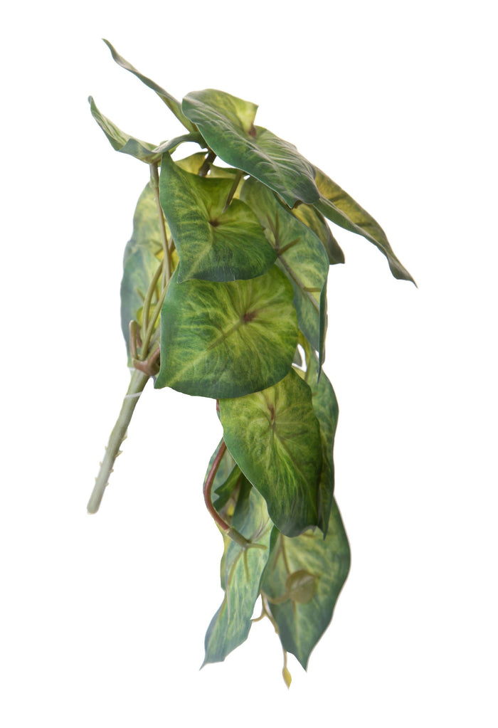 Set 4 Foglie Artificiali Syngonium per 21 Foglie 18 cm
