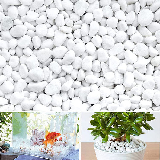 CIOTTOLI DI MARMO CARRARA BIANCO MM.40/60 KG 20