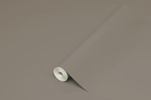 PLASTICA ADESIVA TAUPE LUCIDO D-C-FIX MINI 45X200