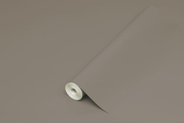 PLASTICA ADESIVA TAUPE LUCIDO D-C-FIX MINI 45X200