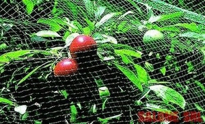 RETE DI PROTEZIONE ANTI UCCELLI MAGLIA MM.12X10,ALTEZZA CM.200,ROTOLO 10 MTL.