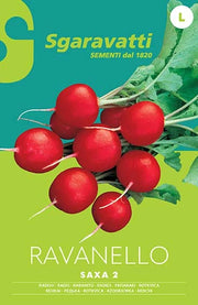 SEMI PER ORTAGGI E VEGETALI ravanello saxa 2 - 20 pezzi  - SGARAVATTI