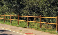 RECINZIONE STACCIONATA 10MT 2 FORI CON PALI LEGNO PINO NORDICO IMPREGNATO