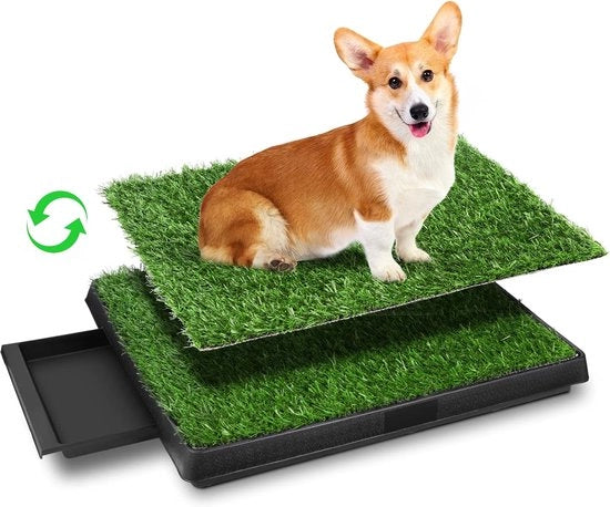 Onderlegger per cani con erba sintetica - 3 strati ciotola per cani con erba per allenamento - per cani piccoli e grandi - 63 x 50 x 7 cm