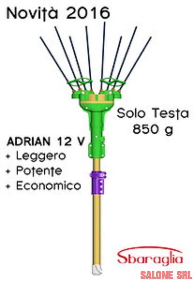 Raccogliolive RACCOGLI OLIVE ABBACCHIATORE A BATTERIA 12V ADRIAN SBARAGLIA