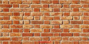 PANNELLO DECORATIVO CM 50X100 DISEGNO MATTONI PEZZI:15