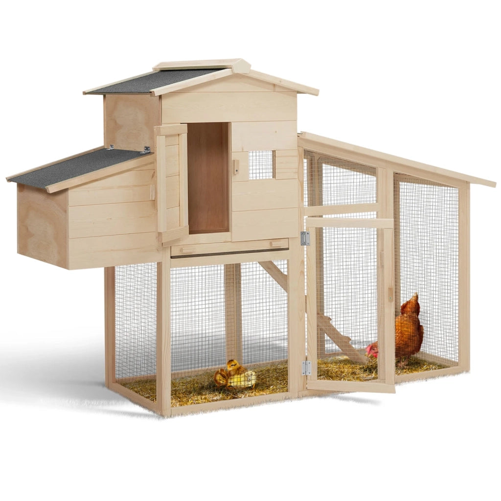 IDMarket - Pollaio con cassetta nido in legno per 2-3 polli COMFORT