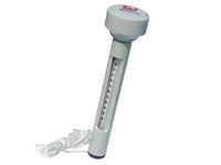 TERMOMETRO GALLEGGIANTE PER PISCINE ART.58072 ACCESSORI PER PISCINE