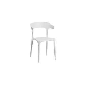 SEDIA DOVE IN POLIPROPILENE IMPILABILE CM. X51X77H PEZZI 6