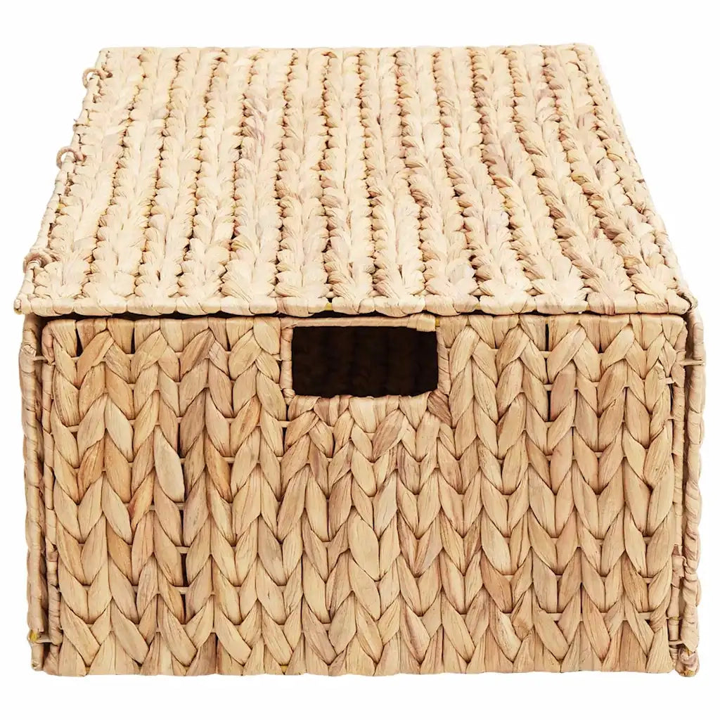 Scatola di Stoccaggio Naturale 60 x 38 x 20 cm Giacinto d'acqua 42020145