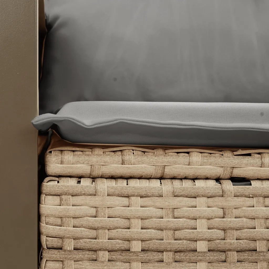 Divano da Giardino con Cuscini a 2 Posti-Sofa da Giardino-Divano da esterno Beige in Polyrattan 362338