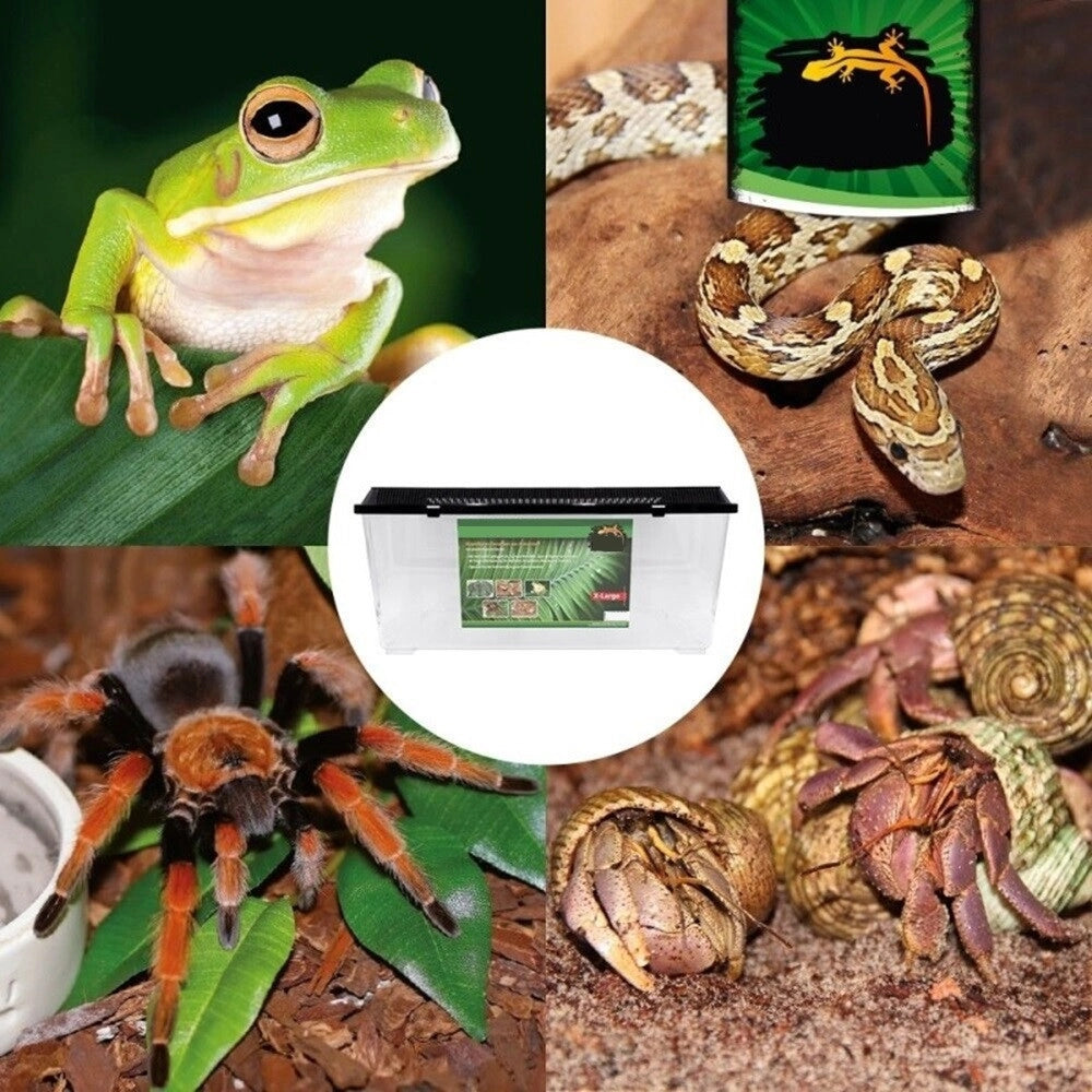 Trade Shop - Contenitore Box 32x21,5x21cm Terrario Acquario Pesci Animali In Plastica Cod. 500 -