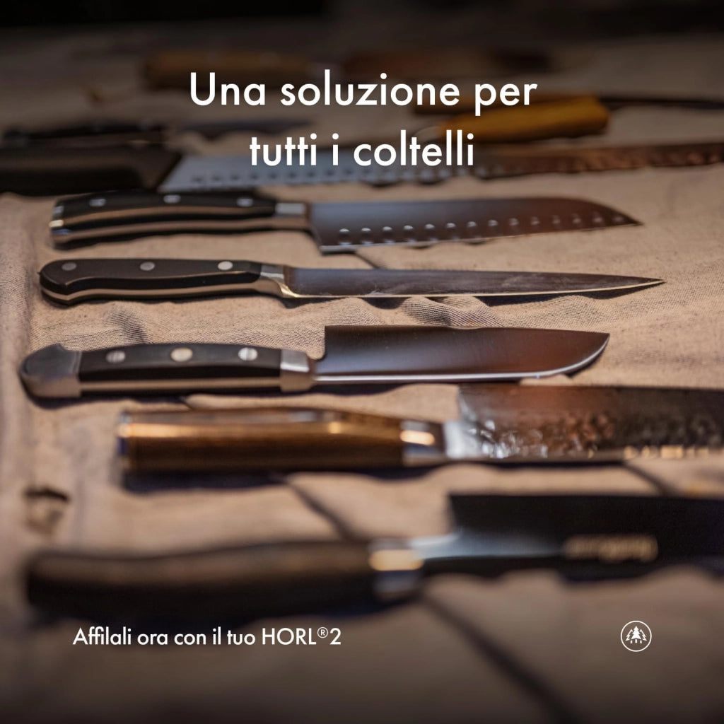 2 affilacoltelli in noce – affilacoltelli da cucina per affilatura rasoi – Made in Germany – Kit per affilare i coltelli facile con rullo con supporto magnetico con 15 e 20 gradi