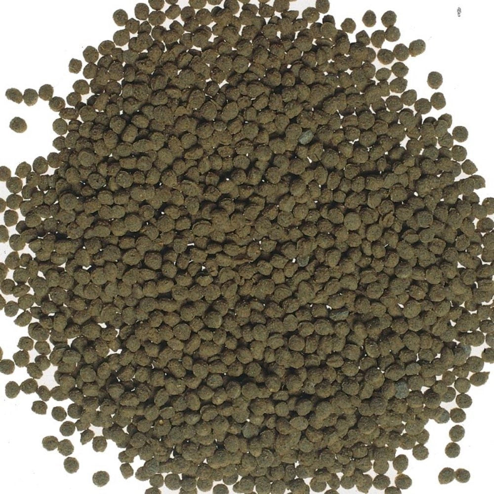 Tetra Goldfish Gold Colour - ricca di alga Spirulina e di Carotenoidi per accentuare la colorazione dei pesci Formato: 250 ml