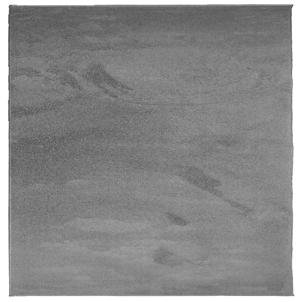 vidaXL Tappeto OVIEDO a Pelo Corto Antracite 120x120 cm