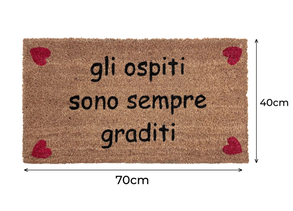 Zerbino Entrata Ingresso Casa Esterno Antiscivolo Cocco Disegno Ospiti Graditi