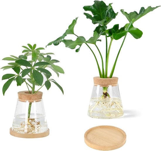 Set di vasi per hydrocultura - 2 pezzi - vaso di vetro - piante - stazione di propagazione - terrario per piante - vasi - recipienti per piante - vetro - vaso per hydrocultura