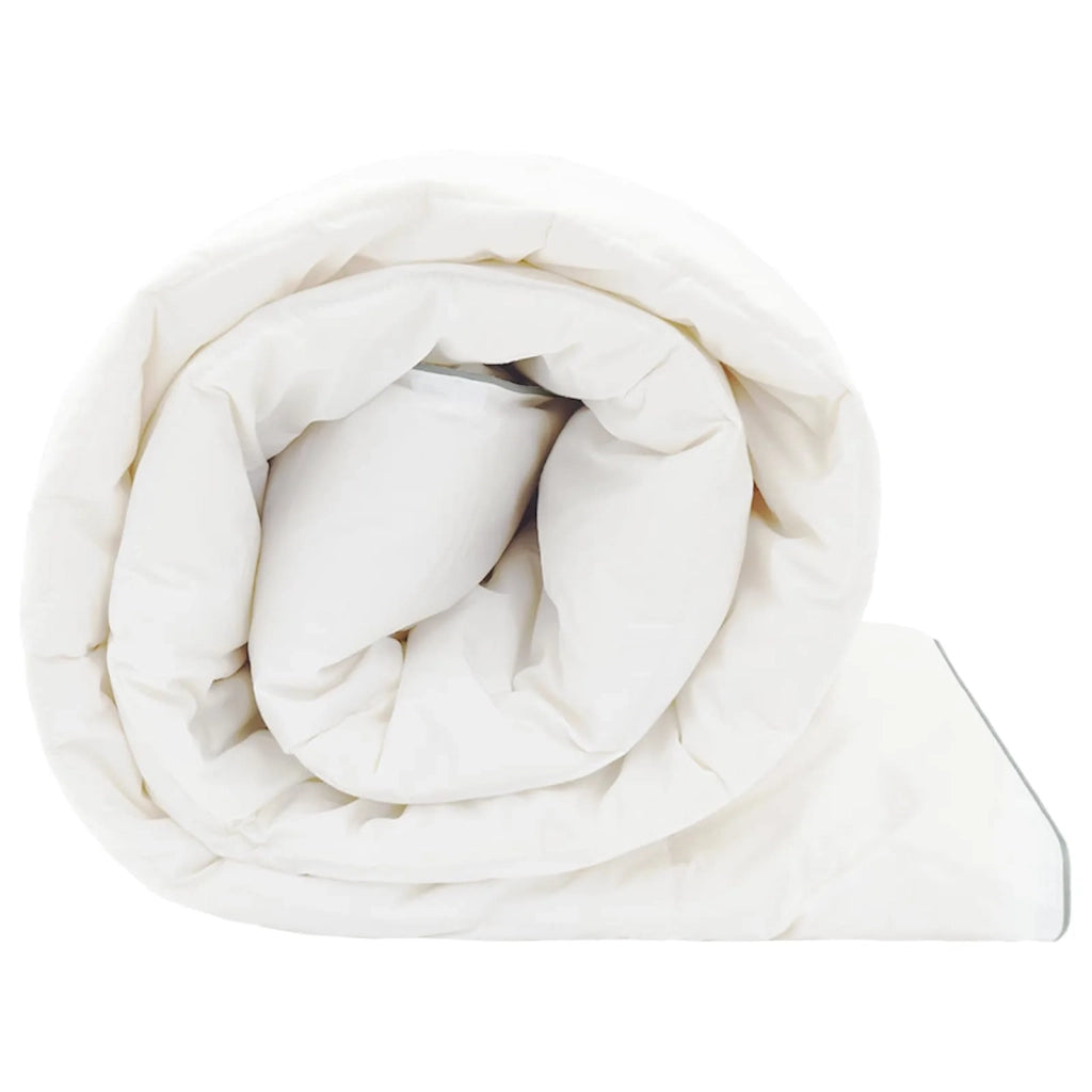 Piumone FULDA 200 x 220 cm 4 stagioni 310 GSM 90% piuma d'oca 42042794
