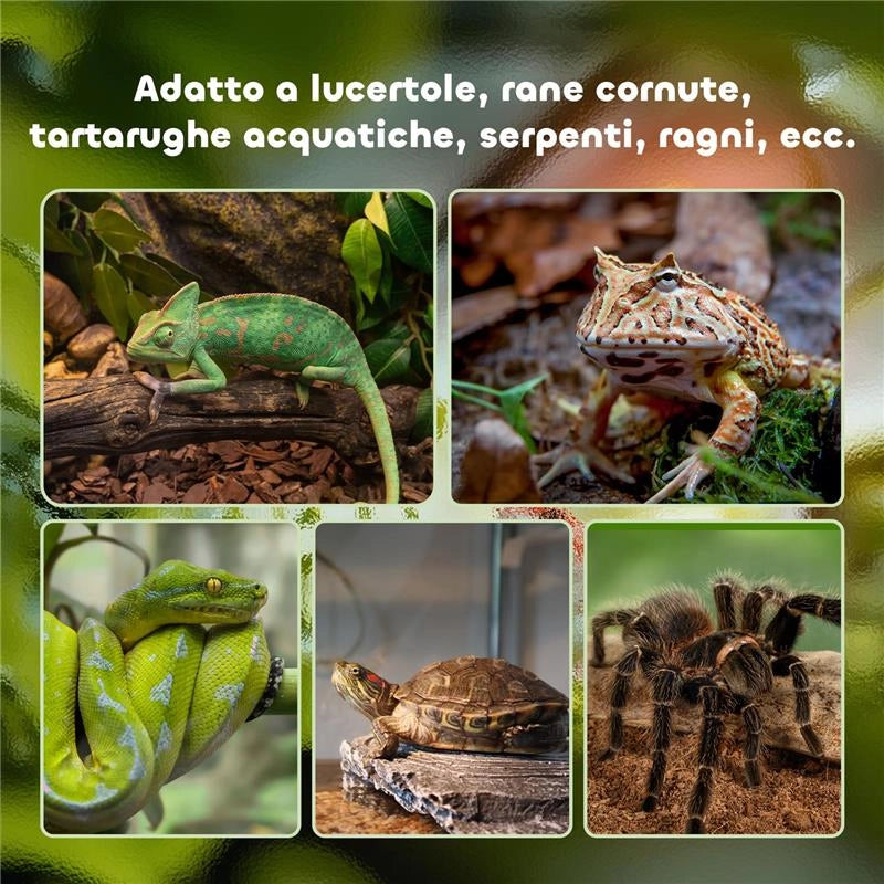 TERRARIO PER RETTILI RIALZATO CON SERRATURA E TERMOMETRO, IN VETRO E RETE METALLICA, 50X30X35 CM, NERO