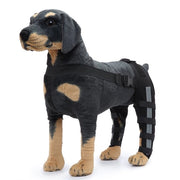 Supporto per le gambe posteriori dei cani, che offre sostegno stabile a entrambe le gambe posteriori, adatto per dislocazioni del ginocchio.