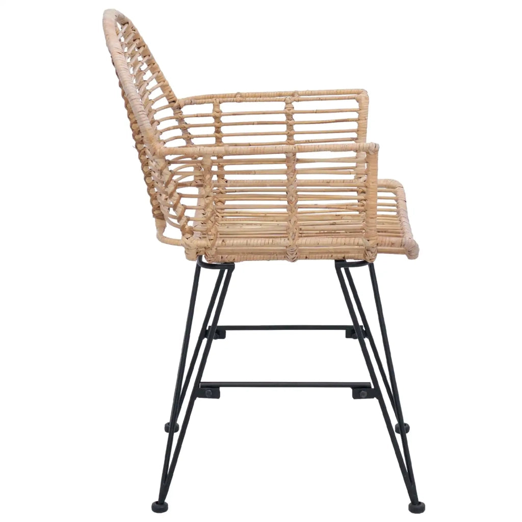 Sedia da pranzo 2 pcs Naturale 44 x 44 x 74 cm Rattan e Ferro 42011558