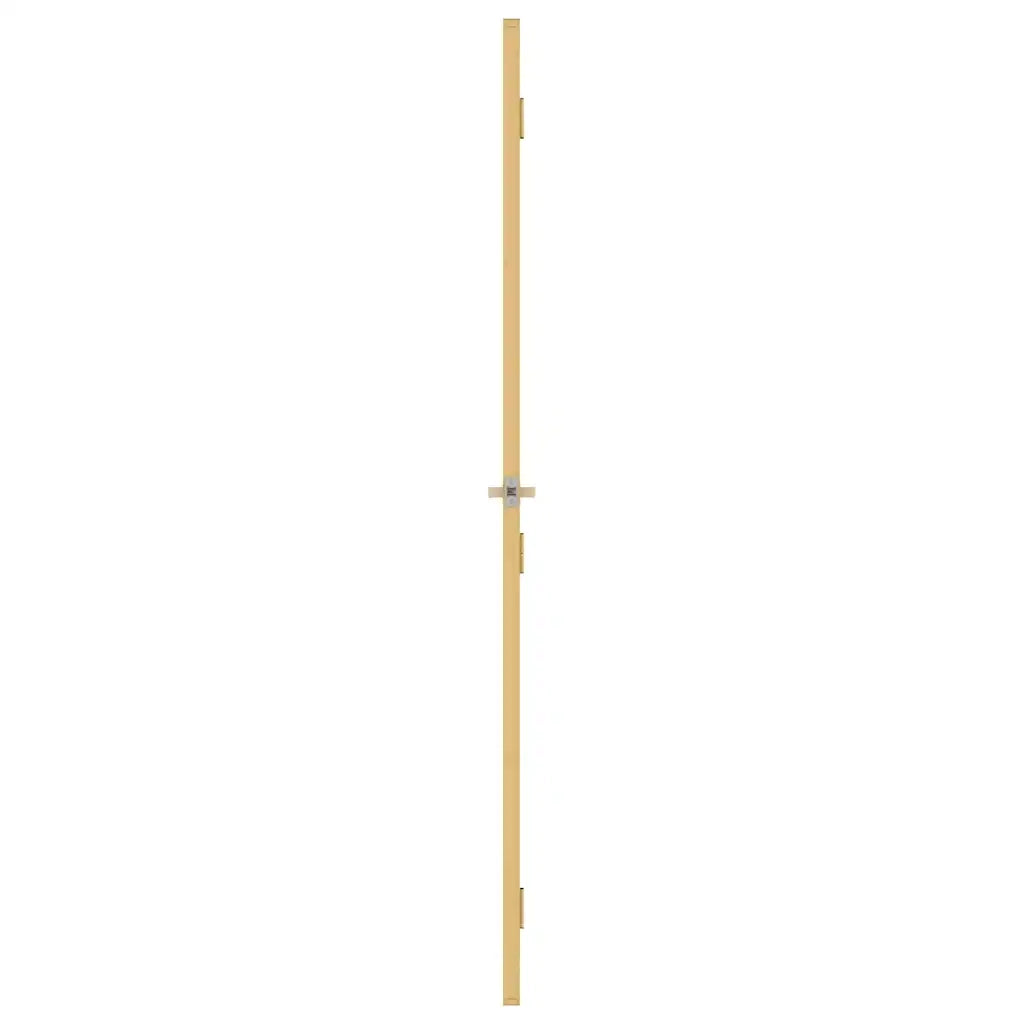 Porta Interni Sottile Oro 83x201,5cm Vetro Temperato Alluminio 155145