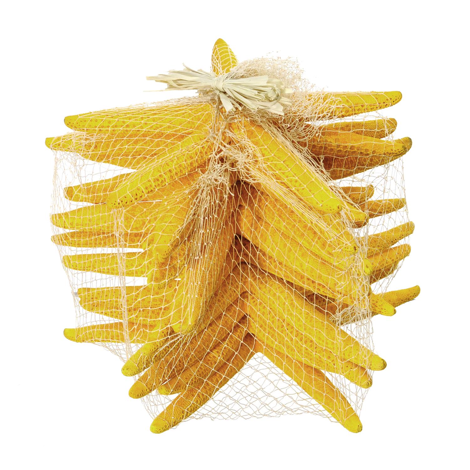 Stelle Marine Colorate 10 Pz 15x20 cm