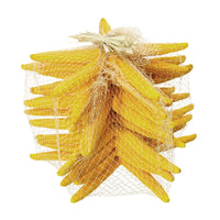 Stelle Marine Colorate 10 Pz 15x20 cm