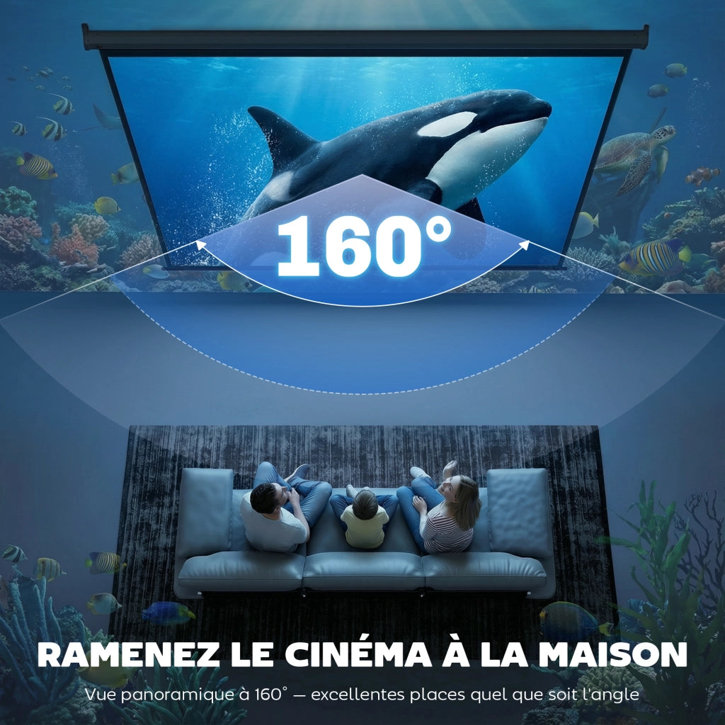 Schermo per Proiezioni 120 Pollici 4:3 ¨C zephmum ¨C Nero 244x183 cm