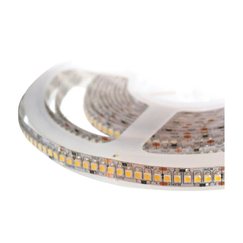STRIPLED SMD5050 14,4W/MT 1339LM/MT 6000°K 240LED/MT 24V LARGHEZZA STRISCIA 10mm LUNGHEZZA BOBINA