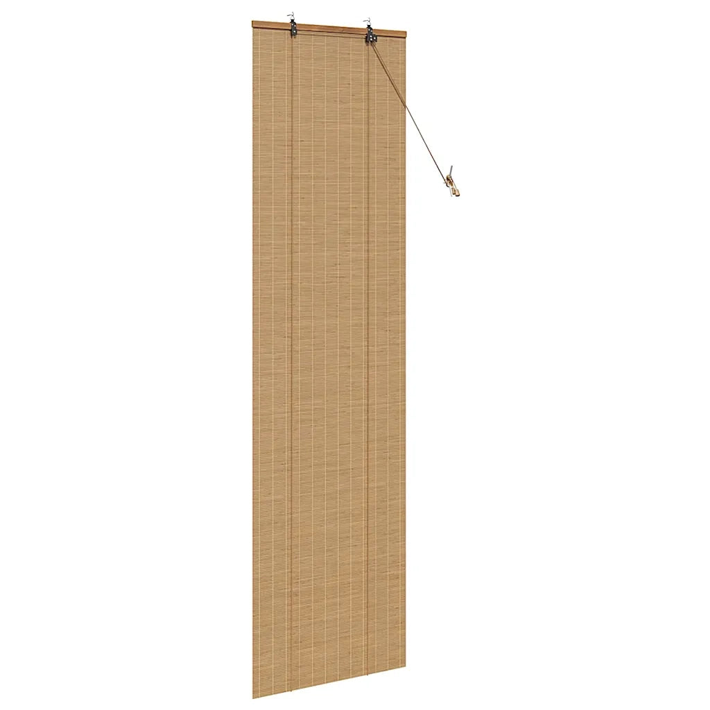 Tenda a rullo con tende Marrone 60 x 220 cm Bambù 42006847