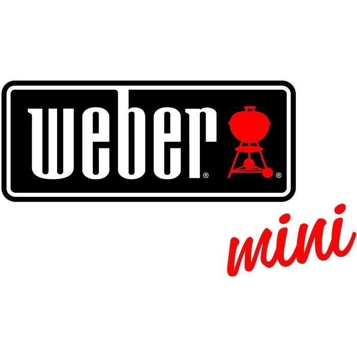 KLEIN - Barbecue Weber One Touch Premium con suono e carbone leggero