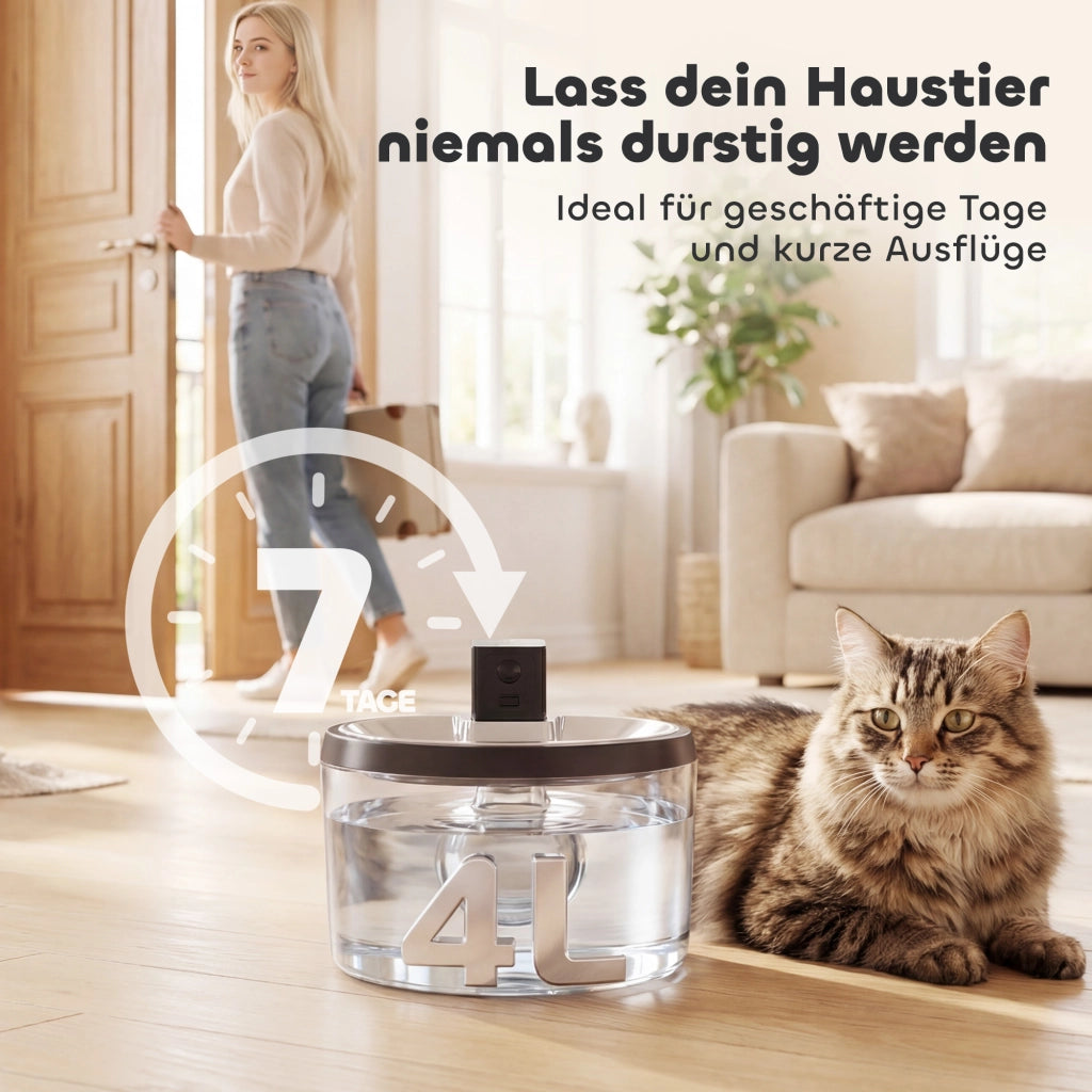 Fontanella per Gatti 4L ¨C Zephmum ¨C Senza Fili Inox con Sensore di Movimento 6 Filtri
