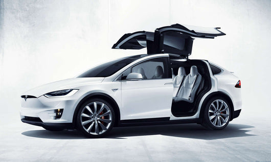 RIGUM905366 TESLA Model X dal 2015- 5 posti Tappeti in Gomma Auto