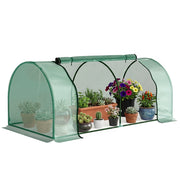 Serra da giardino a tunnel ¨C zephmum ¨C Acciaio e PVC, Verde, 200x100x80 cm