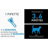 FRONTLINE Spot On Cat - 6 pipette