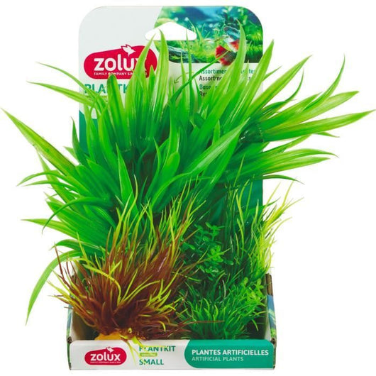 Piante artificiali per acquario - ZOLUX - Plantkit - Taglia S - Confezione da 3