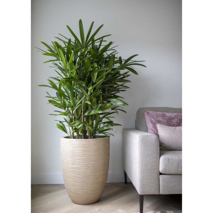 Vaso basso ed elegante - CAPI EUROPE - WASTE RIB NL - 46 x 58 cm - Terrazzo beige