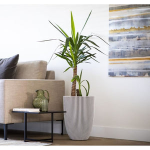 Vaso Capi Elegante Groove 46x58 cm Avorio 445499