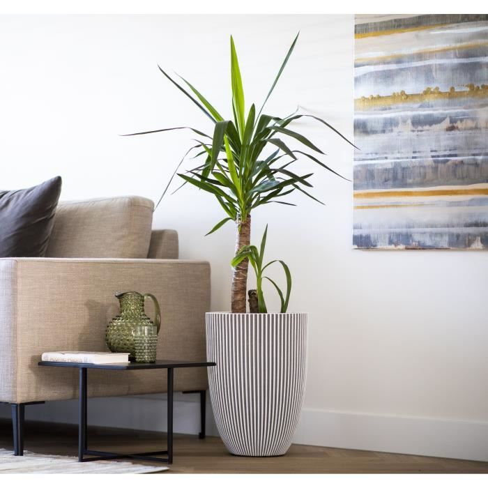 Vaso Capi Elegante Groove 46x58 cm Avorio 445499