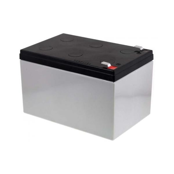 Batteria Piombo-Acido per UPS 12 V 12 Ah, NP12-12