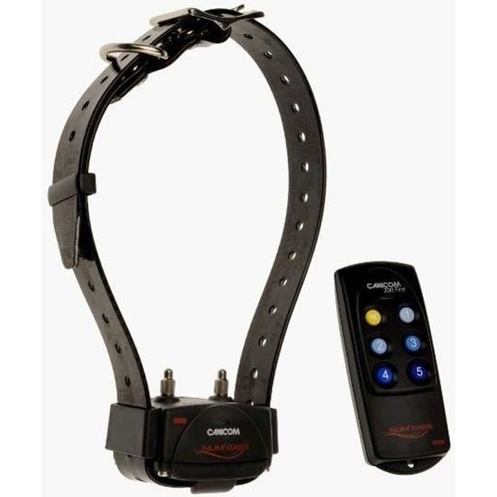 Insieme distanza dressage