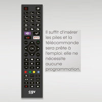 Telecomando sostitutivo - Condizioni generali - FIDELIO Grundig - Per televisori Grundig - Senza programmazione - Pronto all'uso