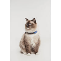 Repellente per gatti ad ultrasuoni - TICKLESS MINI CAT - Protezione contro zecche e pulci - Blu greco