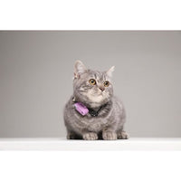 Repellente per gatti ad ultrasuoni - TICKLESS MINI CAT - Protezione contro zecche e pulci - Organo Viola