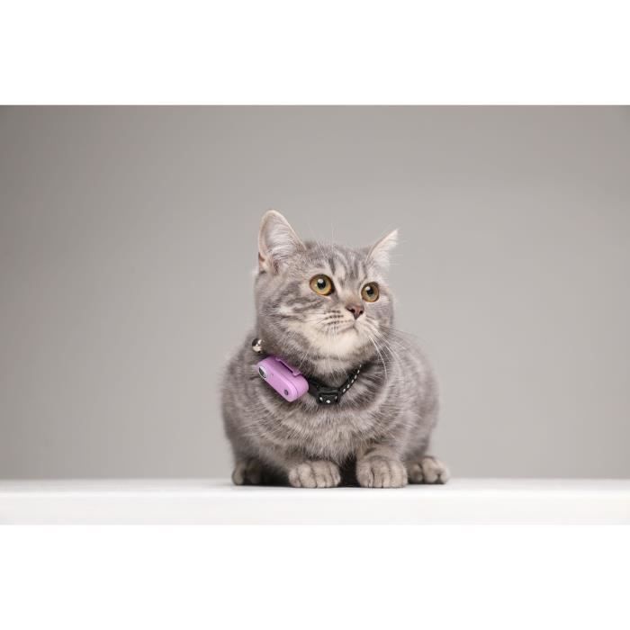 Repellente per gatti ad ultrasuoni - TICKLESS MINI CAT - Protezione contro zecche e pulci - Organo Viola