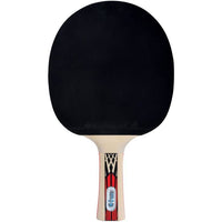 Racchetta da ping pong - SCHILDKRT - LEGENDS 900 FSC