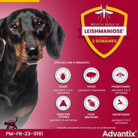 Pipette antiparassitarie ADVANTIX 6 - Per cani molto piccoli da 1,5 a 4 kg